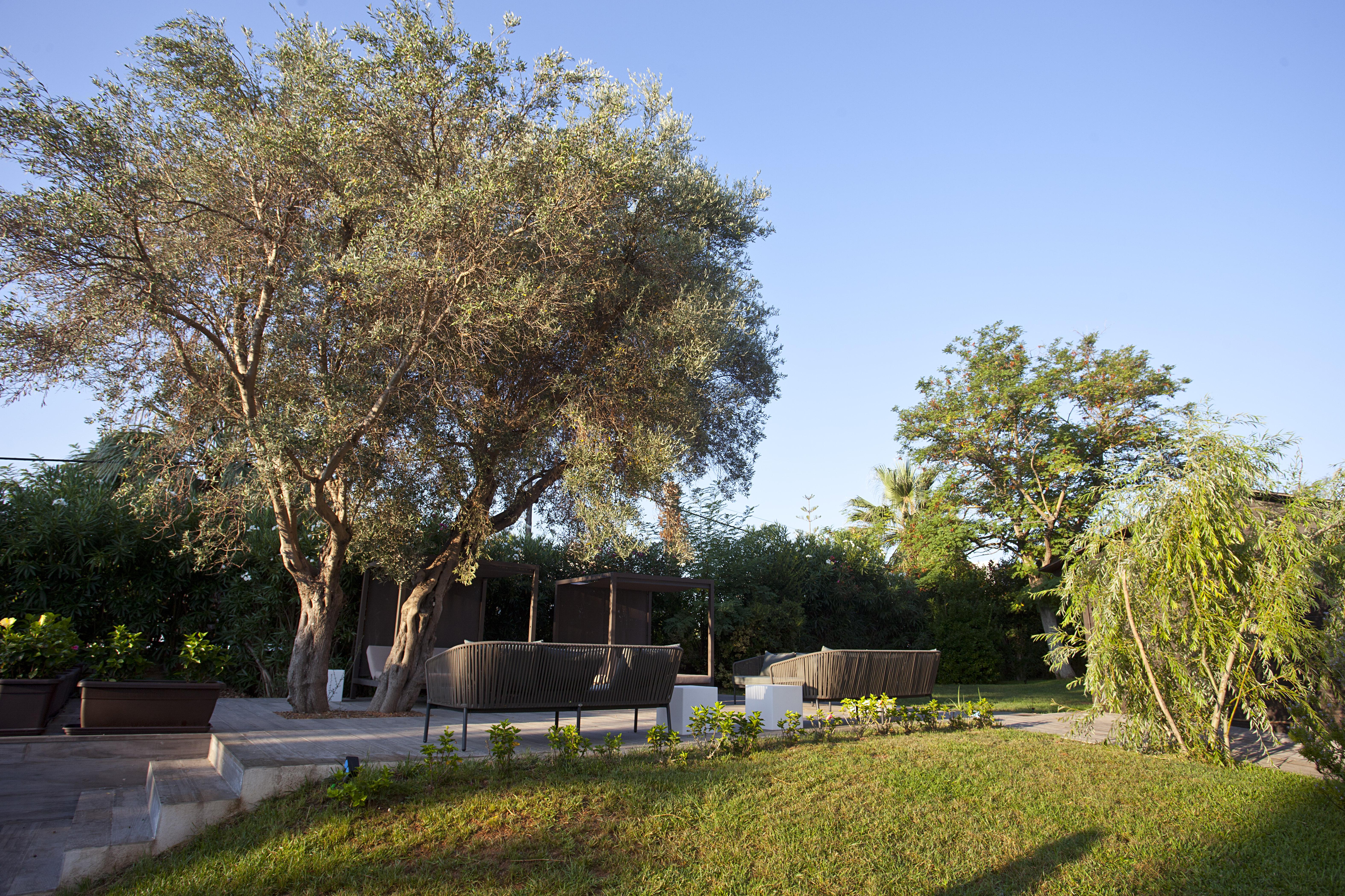 פורט דה פולנסה Hotel Bahia Pollensa מראה חיצוני תמונה