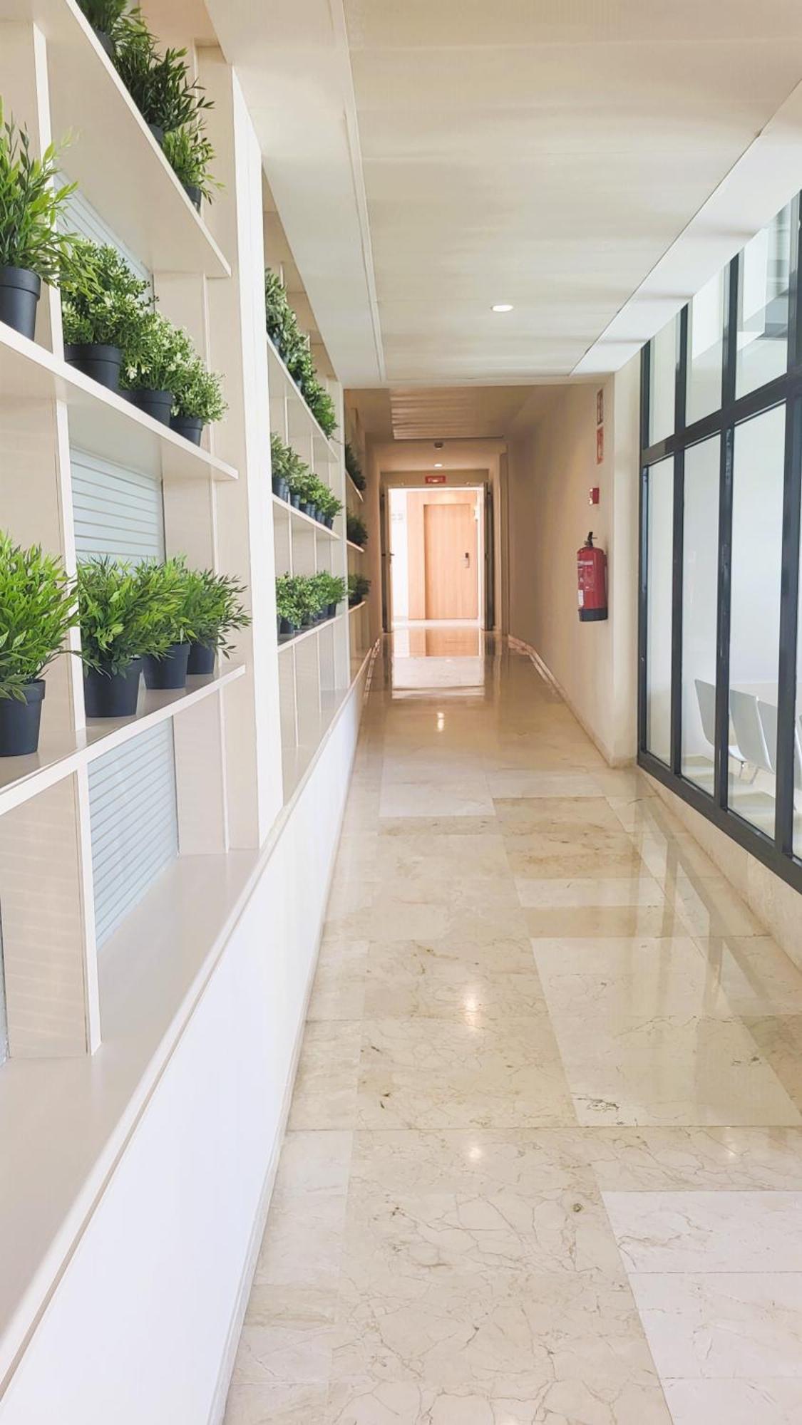 פורט דה פולנסה Hotel Bahia Pollensa מראה חיצוני תמונה